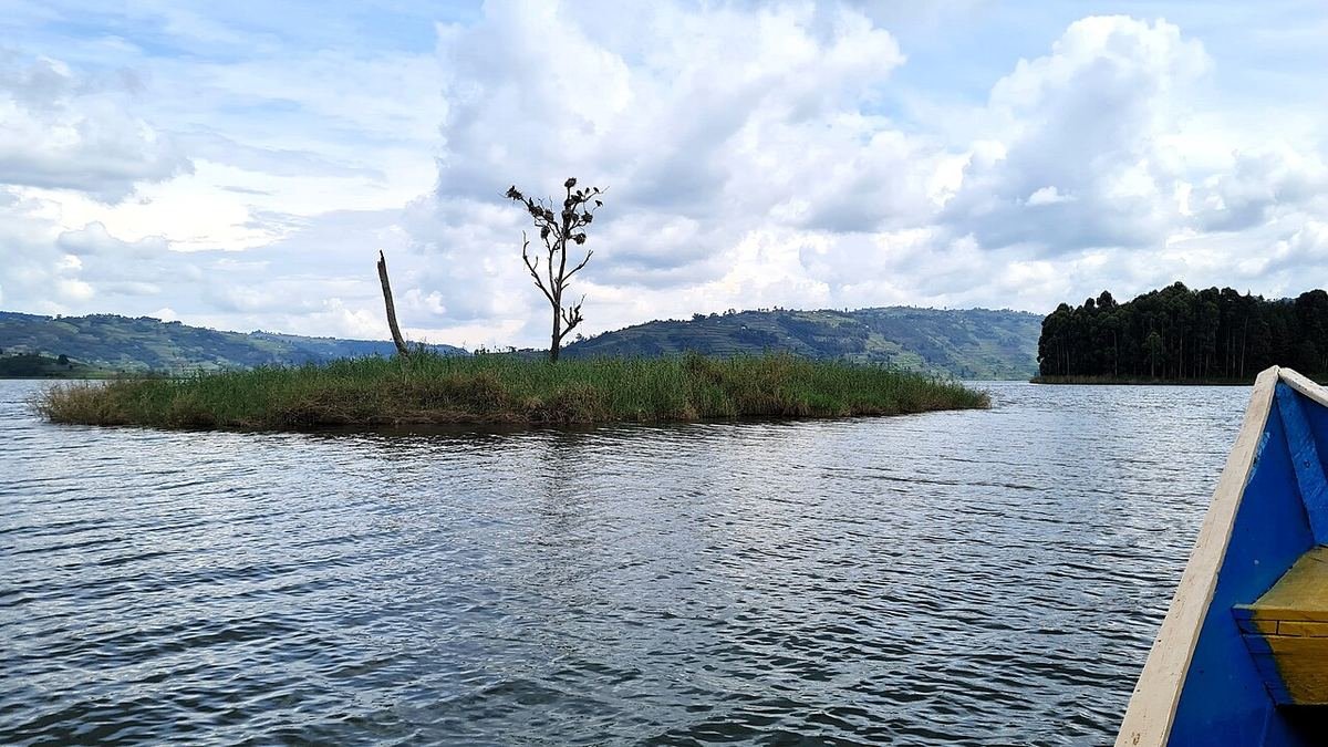 Punishment Island, a tiny grassy island with a single tree, on Lake Bunyonyi, seen from a canoe