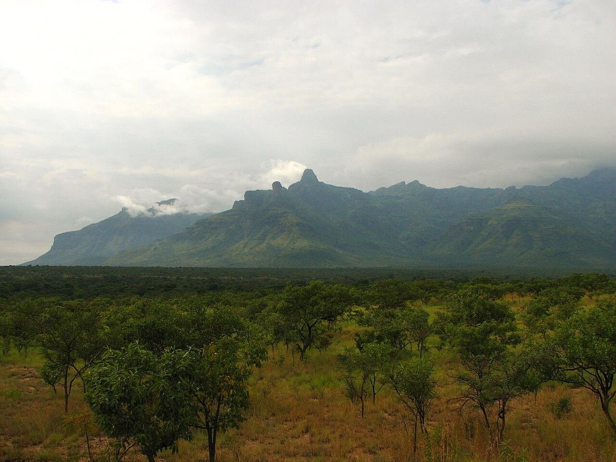 The cliffs and ridges of Mount Moroto rising above dry bush, seen from the west