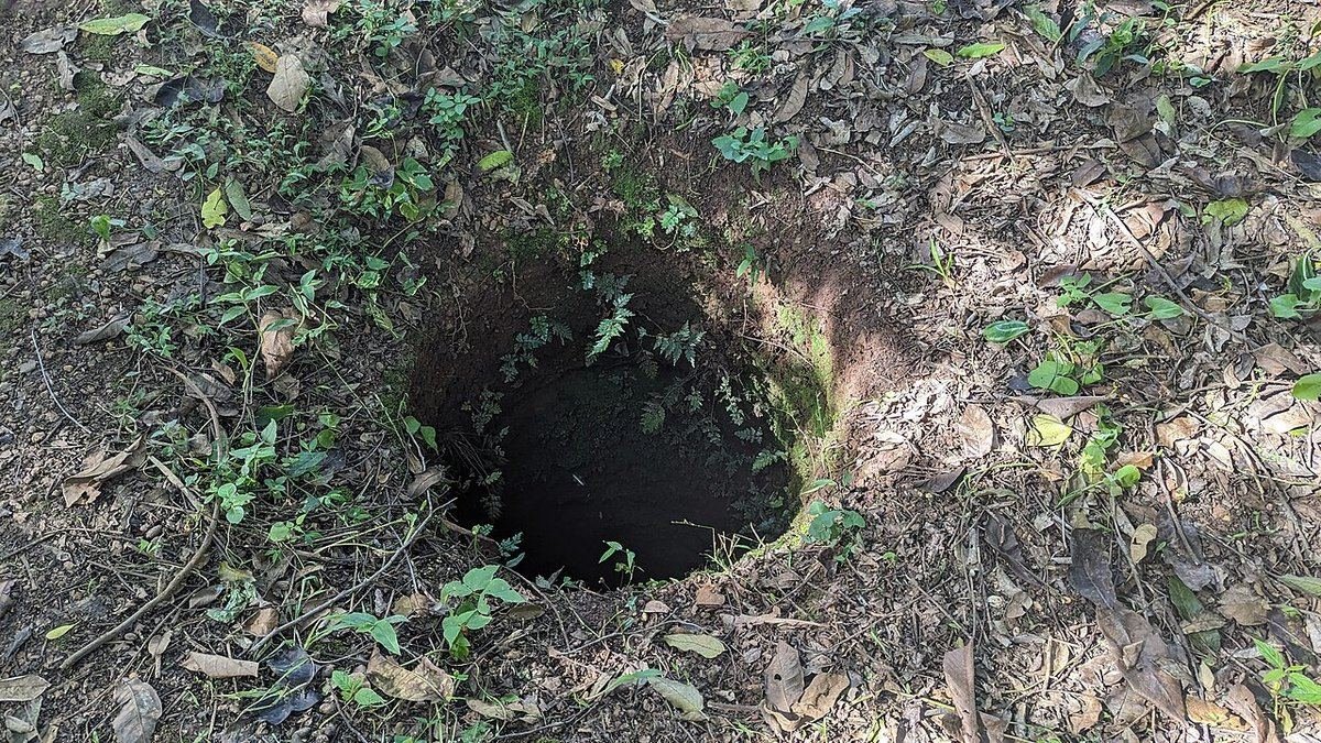 A deep round pit in the ground surrounded by leaf litter at the Ttanda pits