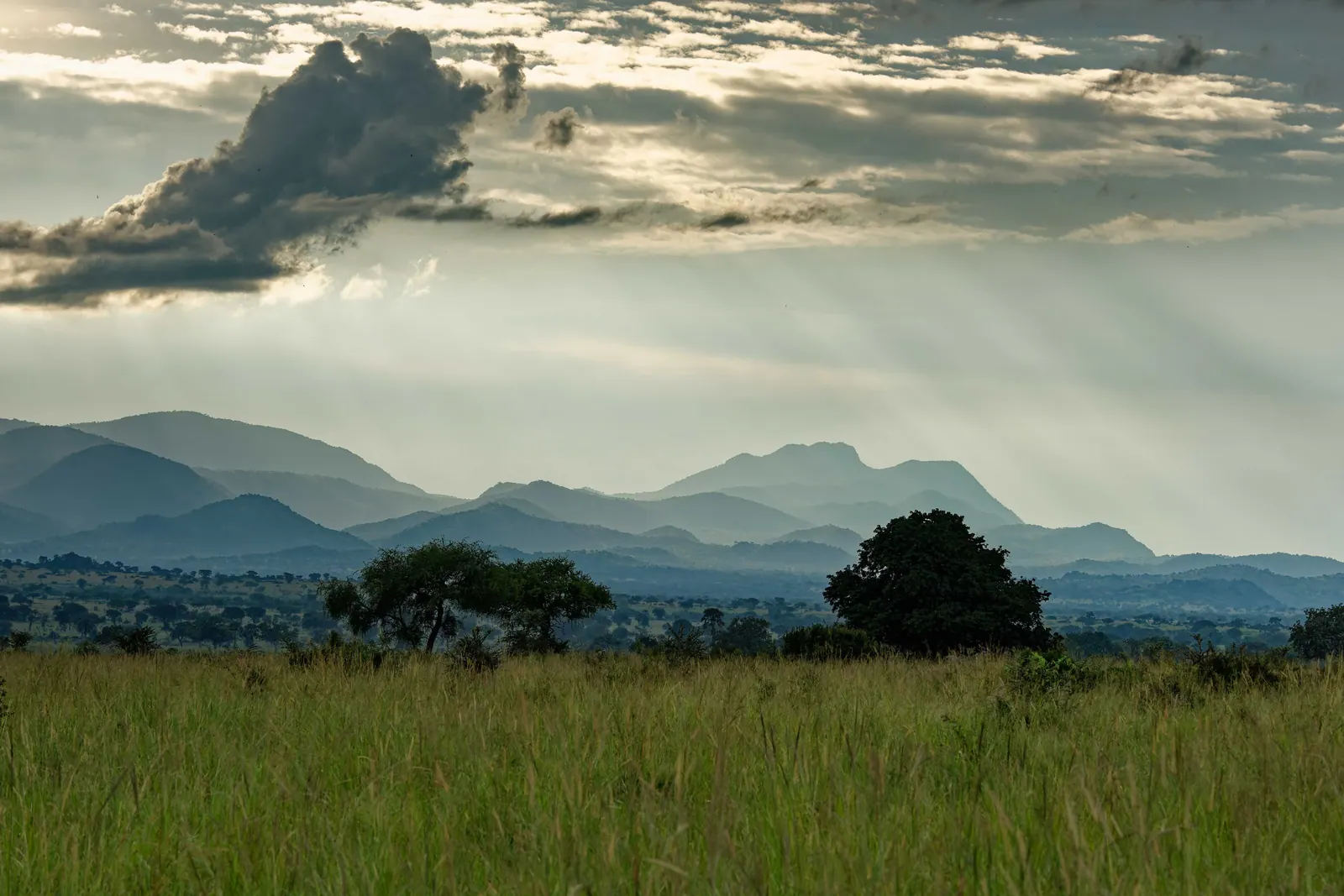Sunbeams over the open grassland and mountains of Kidepo Valley
