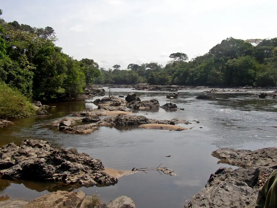 The Epulu River flowing through the Okapi Wildlife Reserve