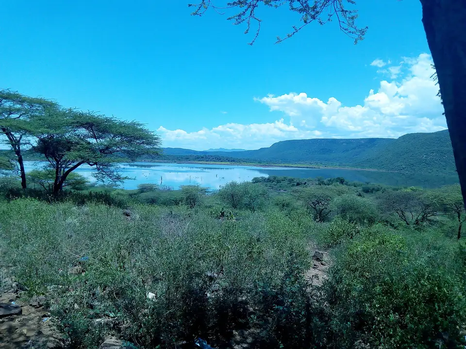 Lake Bogoria seen from the surrounding hills