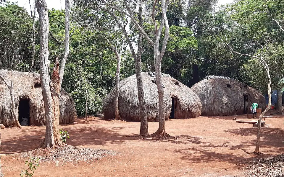 Traditional huts in a sacred Kaya forest clearing