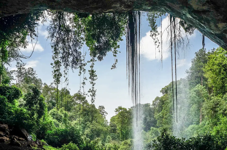 Waterfall at the mouth of Kitum Cave on Mount Elgon