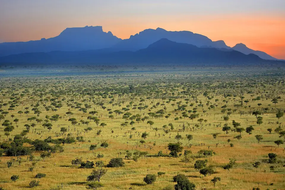 Open savanna of Pian Upe with Mount Kadam on the horizon