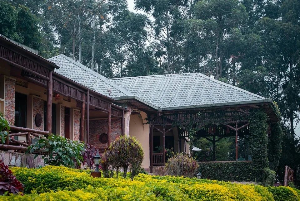 Stone and timber lodge with a covered veranda and flowering gardens, backed by tall forest