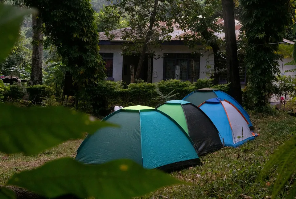 Four dome tents pitched on a grassy campsite beside a simple house among trees