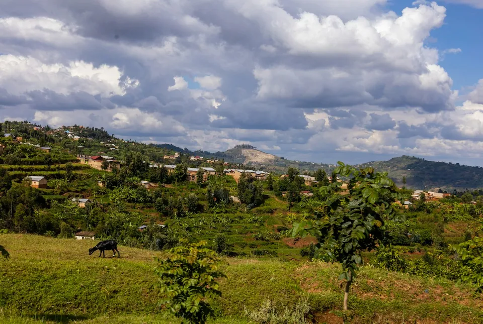 Small village houses scattered across green terraced hills under a cloudy sky, with a goat grazing in the foreground