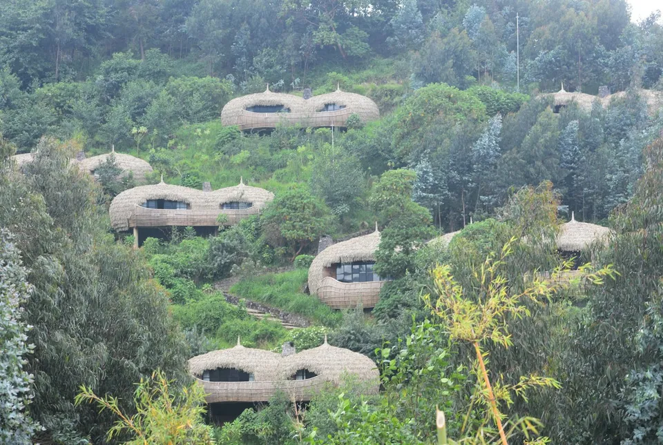 Round thatched lodge cottages set into a steep forested hillside