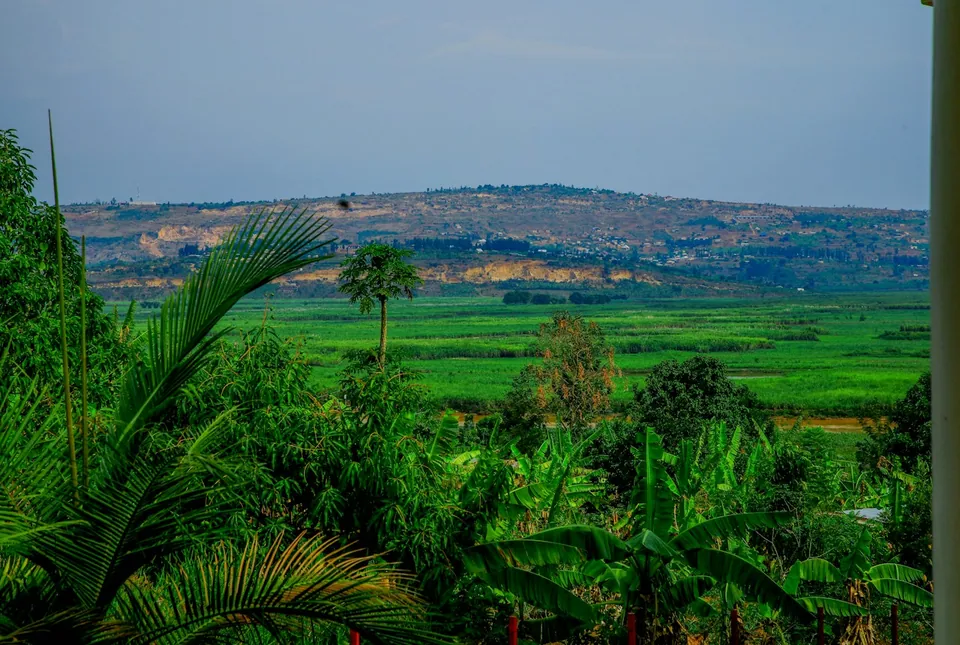 View from a house veranda over palms and banana plants to a green valley and distant hills