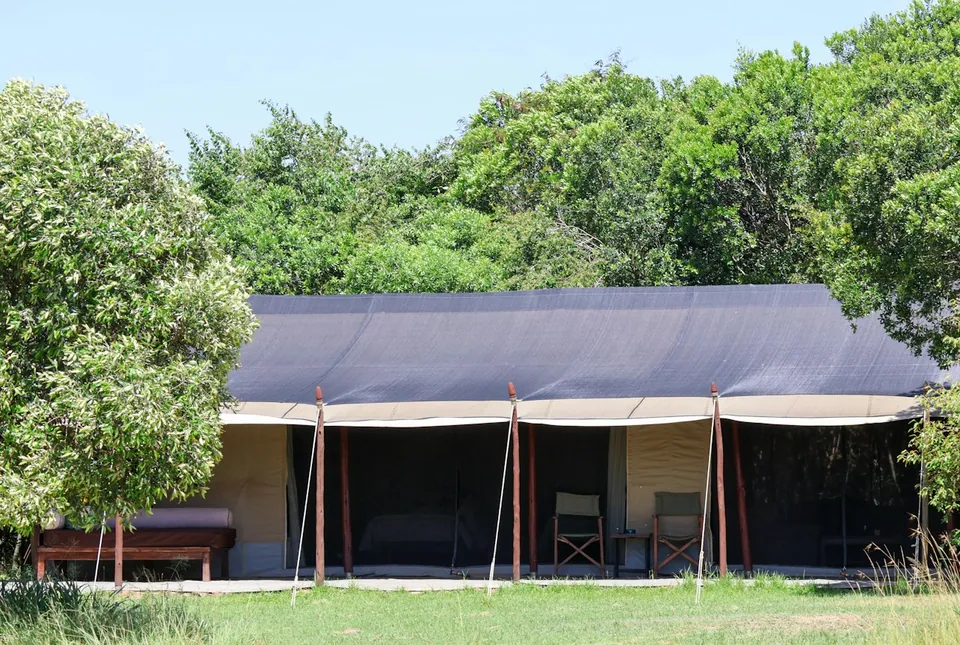 Canvas safari tent with a shaded veranda and two chairs on a lawn edged by trees