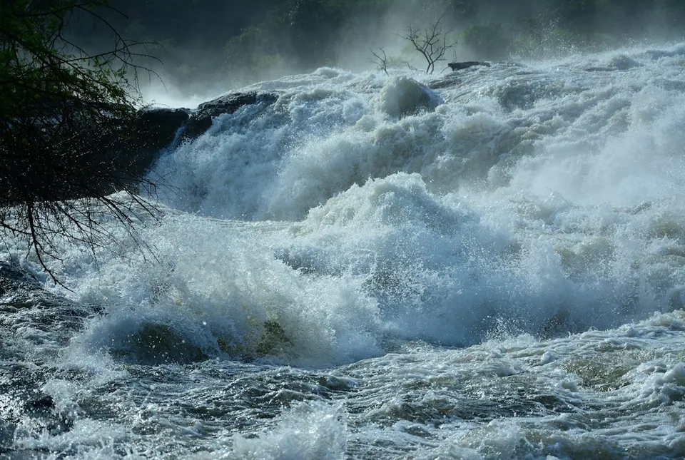 Murchison Falls, where the Nile River plunges through a narrow gorge