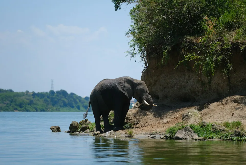 The Kazinga Channel area in Queen Elizabeth National Park